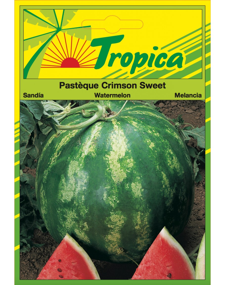 Watermelon Seeds (Crimson Sweet) By Tropica